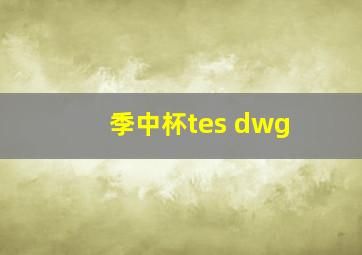 季中杯tes dwg